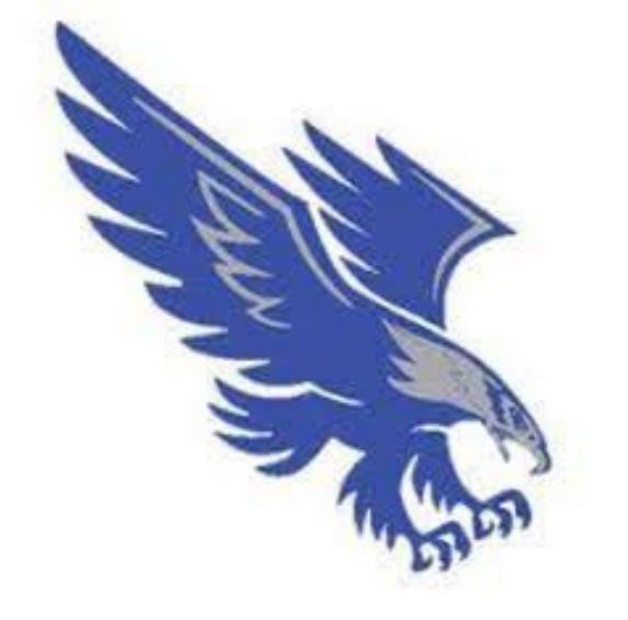 Taylor mill eagles